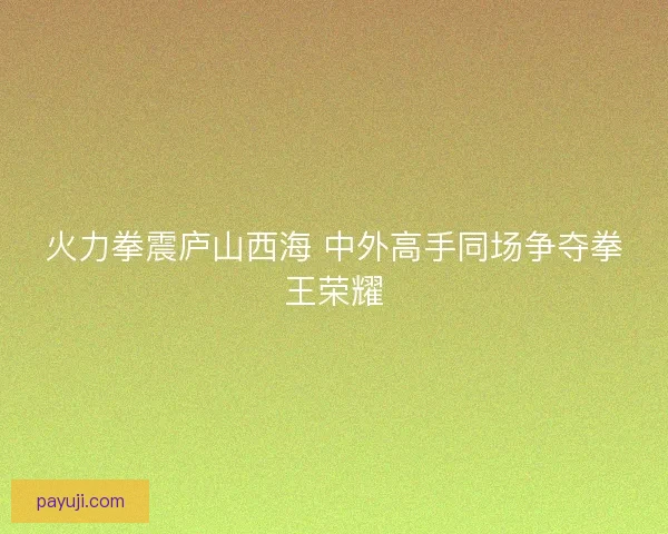 火力拳震庐山西海 中外高手同场争夺拳王荣耀