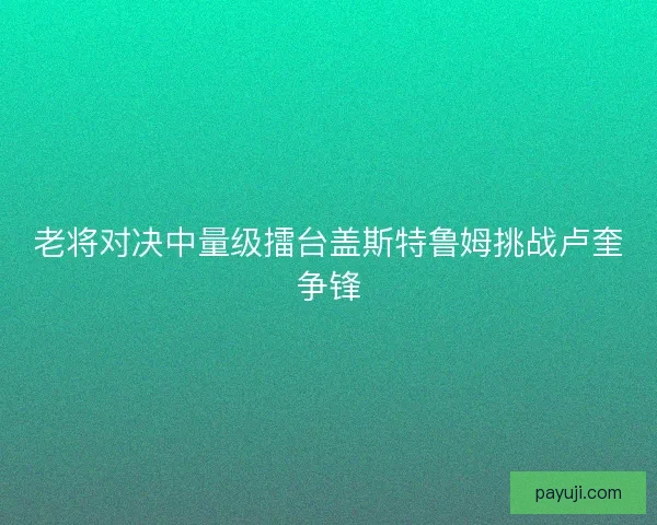 老将对决中量级擂台盖斯特鲁姆挑战卢奎争锋