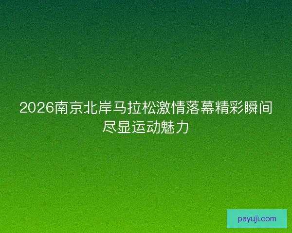 2026南京北岸马拉松激情落幕精彩瞬间尽显运动魅力 2026南京北岸马拉松激情落幕精彩瞬间尽显运动魅力
